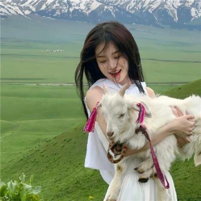 杨六郎智破连环计